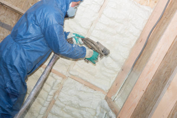 Eco-Friendly or Green Insulation Solutions in Ashley, PA